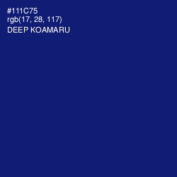 #111C75 - Deep Koamaru Color Image