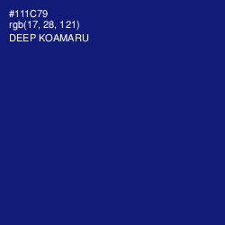#111C79 - Deep Koamaru Color Image