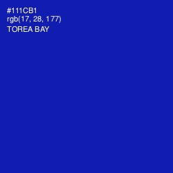 #111CB1 - Torea Bay Color Image