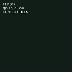 #111D17 - Hunter Green Color Image