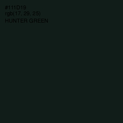 #111D19 - Hunter Green Color Image