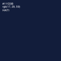 #111D3B - Haiti Color Image