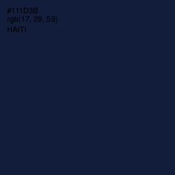 #111D3B - Haiti Color Image