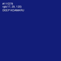 #111D78 - Deep Koamaru Color Image