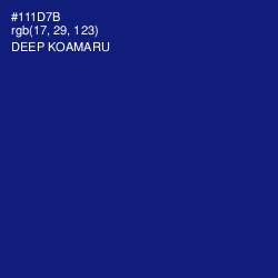 #111D7B - Deep Koamaru Color Image