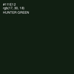 #111E12 - Hunter Green Color Image