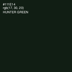 #111E14 - Hunter Green Color Image