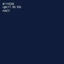 #111E3B - Haiti Color Image