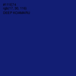 #111E74 - Deep Koamaru Color Image