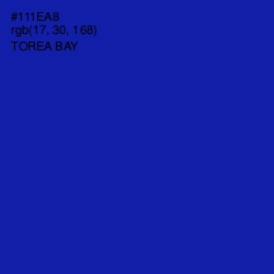 #111EA8 - Torea Bay Color Image