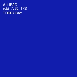 #111EAD - Torea Bay Color Image