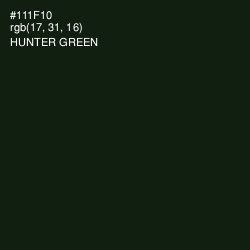 #111F10 - Hunter Green Color Image