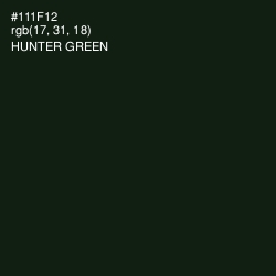 #111F12 - Hunter Green Color Image