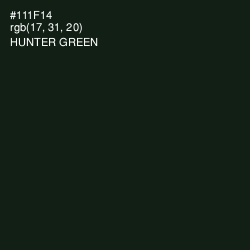 #111F14 - Hunter Green Color Image