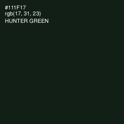 #111F17 - Hunter Green Color Image