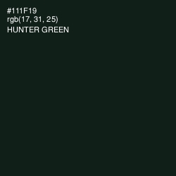 #111F19 - Hunter Green Color Image