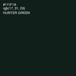 #111F1A - Hunter Green Color Image