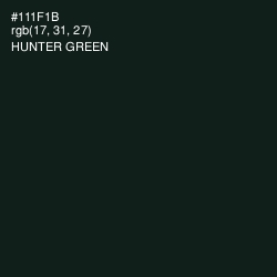 #111F1B - Hunter Green Color Image