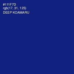 #111F7D - Deep Koamaru Color Image