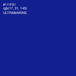 #111F91 - Ultramarine Color Image