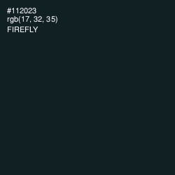 #112023 - Firefly Color Image