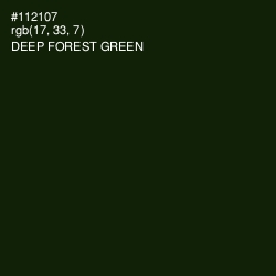 #112107 - Deep Forest Green Color Image
