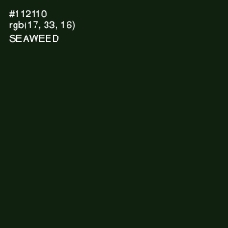 #112110 - Seaweed Color Image