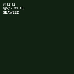 #112112 - Seaweed Color Image