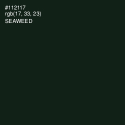 #112117 - Seaweed Color Image