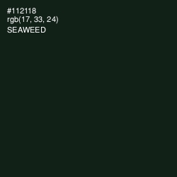 #112118 - Seaweed Color Image