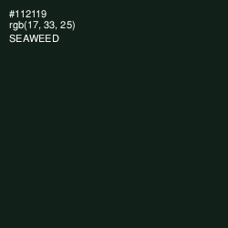 #112119 - Seaweed Color Image