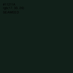 #11211A - Seaweed Color Image