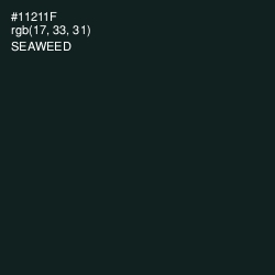 #11211F - Seaweed Color Image