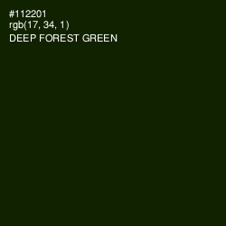 #112201 - Deep Forest Green Color Image