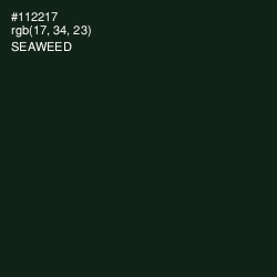 #112217 - Seaweed Color Image