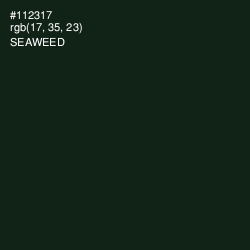 #112317 - Seaweed Color Image