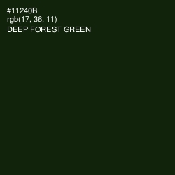 #11240B - Deep Forest Green Color Image