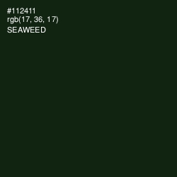 #112411 - Seaweed Color Image