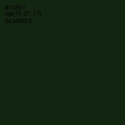 #112511 - Seaweed Color Image