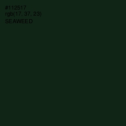 #112517 - Seaweed Color Image