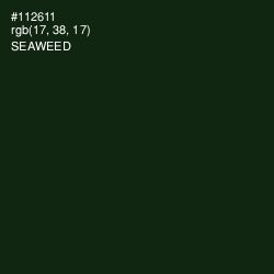 #112611 - Seaweed Color Image