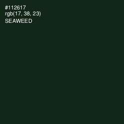 #112617 - Seaweed Color Image