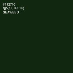 #112710 - Seaweed Color Image