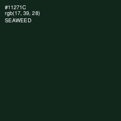 #11271C - Seaweed Color Image