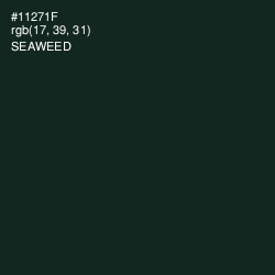 #11271F - Seaweed Color Image