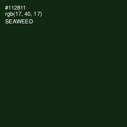 #112811 - Seaweed Color Image