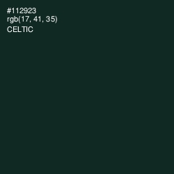 #112923 - Celtic Color Image