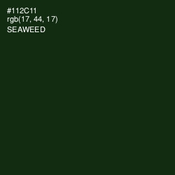 #112C11 - Seaweed Color Image