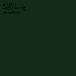 #112C13 - Seaweed Color Image