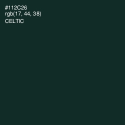 #112C26 - Celtic Color Image